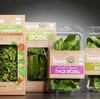 5 Ways Companies Are Making Packaging More Sustainable