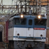 EF65 2117充当5086レなど　貨物列車撮影 2/19