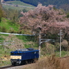 EF64 1031単機で関東方面へ（姨捨の桜）
