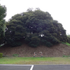 稲荷塚古墳（側ヶ谷戸古墳群） 埼玉県さいたま市大宮区三橋・さいたま市立大宮西高校