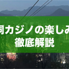 明洞のカジノの楽しみ方 | 初めてでも安心！楽しみ方・注意点を徹底解説