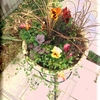  group planting 