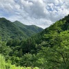 緑と涼しさを体感、谷川岳にて