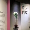 【2018年11月】故宮博物院の「白菜」が台中花博に出張中！