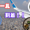ネパール到着のお知らせ🌟
