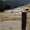 丸山千枚田（紀和町）