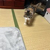 ドラマは世相を反映します。金妻が流行った時代もありました。