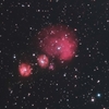 ＩＣ２１６２：オリオン座の散光星雲