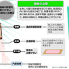 被曝の治療