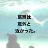 兼業主夫の育児日記015：ワンオペで子供3人と葛西臨海水族館。