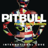 Pitbull Featuring Chris Brown - International Loveのサビの歌詞和訳で覚える英語　