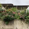 パルメンガルテンフランクフルト、ネオンも終了