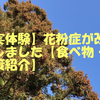 【実体験】花粉症が改善しました【食べ物・対策紹介】