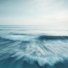 開放型で海と繋がって暮らす。今からはじめようと思うこと