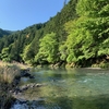 五月の渓流はやはり最高でした