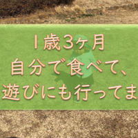 赤ちゃん1歳4ヶ月 言葉が多彩になってきただいちゃん 意思表示がより明確に どのくらいしゃべるのかというと オコジョ的じゅりいズム 赤ちゃん1歳4ヶ月 言葉が多彩になってきただいちゃん 意思表示がより明確に どのくらいしゃべるのかというと オコジョ的じゅりいズム