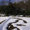 佐渡　雪解けの抽象形