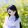 初めてのドール野外撮影：菜の花と春のドール