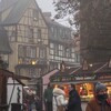 アルザス・コルマールのクリスマスマーケットってどんな感じ？2024年末訪問レポート【フランス旅行】