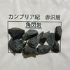 朗報「ブラタモリ」復活！タモリさん、カンブリア紀の地層と共に茨城で待ってま～す！