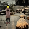 また雪が降りました✨