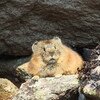 東ヌプカウシ山へ②（10月2日）