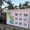 夜桜のもと過去と未来を行き来した