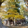 温泉とリンゴ狩り