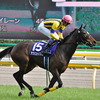 2011年6月13日くらいまでの競馬ニュースとか