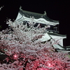 岡崎城の夜桜 (2015/3/31)