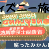 《香港ディズニー》個人手配で予約してたのにホテルで滅茶苦茶だった件