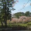 【'11桜と城と】番外編・風景写真ご紹介