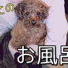 お風呂動画と提供の話♪