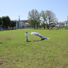 4月の施設見学会