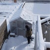 雪害注意⛄️⚠️せっせとポリカ温室の雪下ろしに励みます