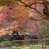 一条恵観山荘（鎌倉市）～進化する紅葉スポット