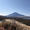 富士山拝みソロツーリング