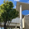 選挙戦ダイジェスト
