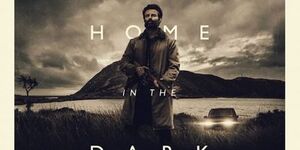 ニュージーランドの映画「Coming Home in The Dark」粗筋と感想：暴力を傍観するか、介入するか？