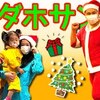 12月28日の動画