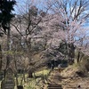 【独身者限定ハイキング】小仏峠から歩く、一丁平の千本桜