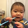 歯ブラシデビュー