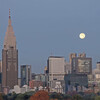 朝の月・ビーバームーン