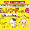 セブンイレブン限定「チキンラーメンオリジナルレンゲ」！