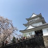 天守登城🌸🏯