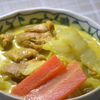 本日のスパイス料理『白菜のバターチキンカレー』