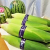  我が家で全国美味いもの市開催中～北海道から届いた夏の美味いもの～