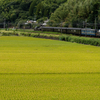 2024/09/25 SL人吉用50系客車+マヤ34 2009連結ツアー 往路