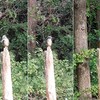 秋の平和公園　今日も通う