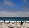 Carmel-by-the-Sea